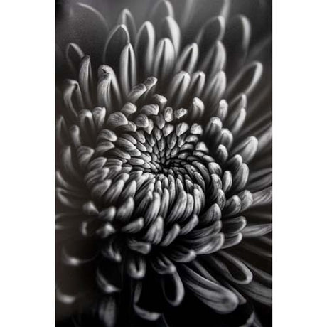ProMaster Fine Art Baryta Natural Satin Paper 44"x50' Roll - Image 4