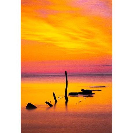 ProMaster Fine Art Cold Press Bright Matte Paper 36"x50' Roll - Image 4