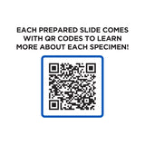 Explore One 52 Piece Smart Slides Activity Set