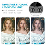 NEEWER 2-Pack SNL530 LED Video Lighting Kit