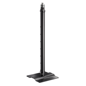 LH 46