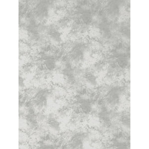 ProMaster Cloud Pattern Backdrop 6'x10' Light Grey