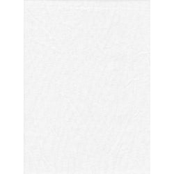 ProMaster Solid Backdrop 6'x10' - White