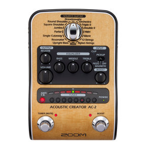 Zoom Acoustic Creator