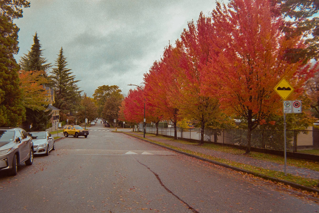 FLIC FILM Aurora 400 35mm film (36 exposures)