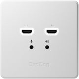 BirdDog Wallplate Dual Output