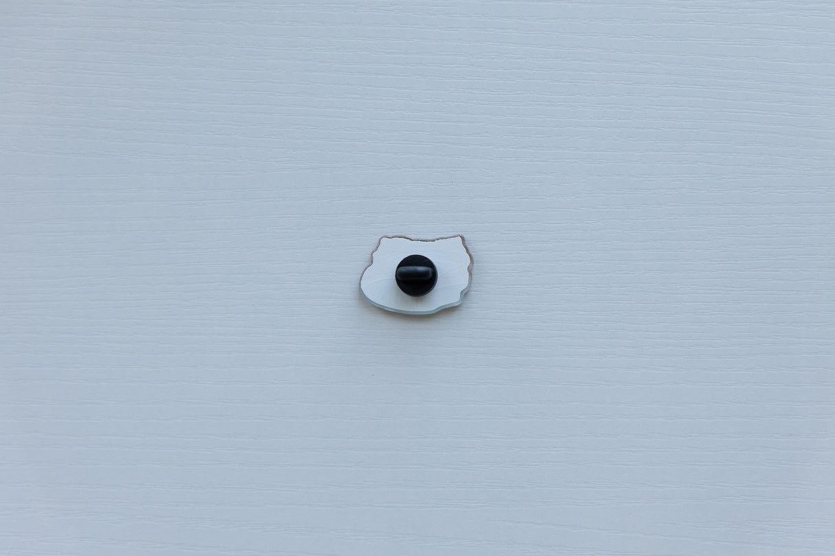 Lake Powell Acrylic Pin