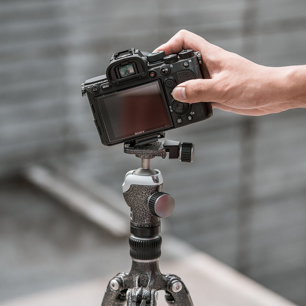 Beetle camera clip with arca swiss plate