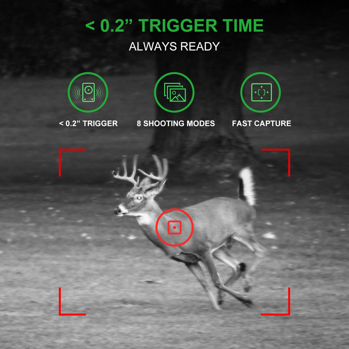REXING H1 Blackhawk Night Vision Trail Camera Full HD 1920×1080