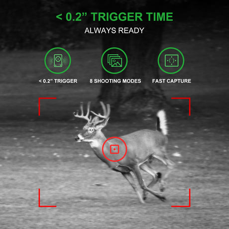 REXING H1 Blackhawk Night Vision Trail Camera Full HD 1920×1080