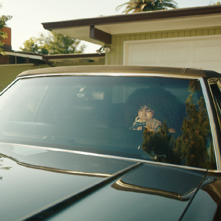 Circular Polarizer CPL