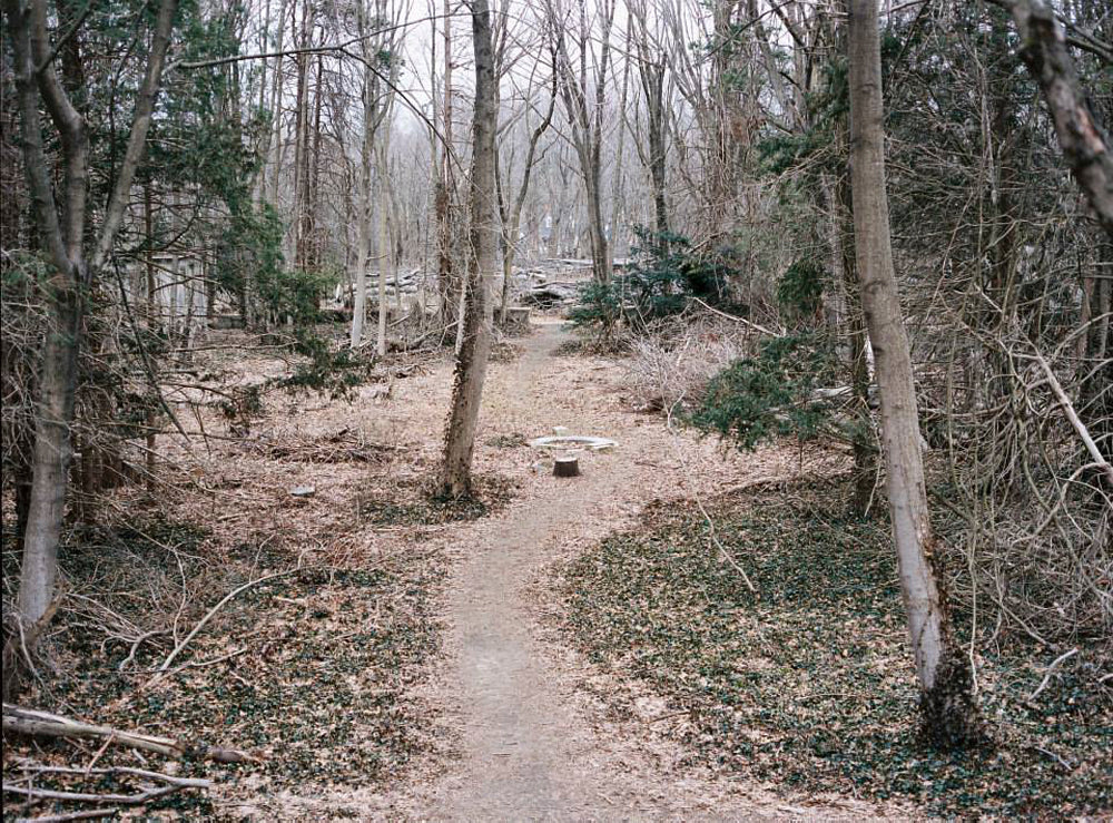 Kodak Professional Portra 400 120 Film — 5-Roll Pro Pack
