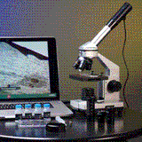 Explore One 40x-1024x Microscope