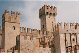 FILC FILM Elektra 100 35mm Film (36 exposures)