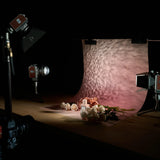 Harlowe Mini II 20W Bi-Color Studio Light Kit for Photo & Video