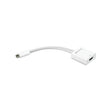 Newer Tech nology USB-C to HDMI 4K Display Adapter 4.3 in