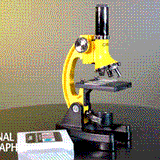 National Geographic 300x-1200x Microscope with Hard Case