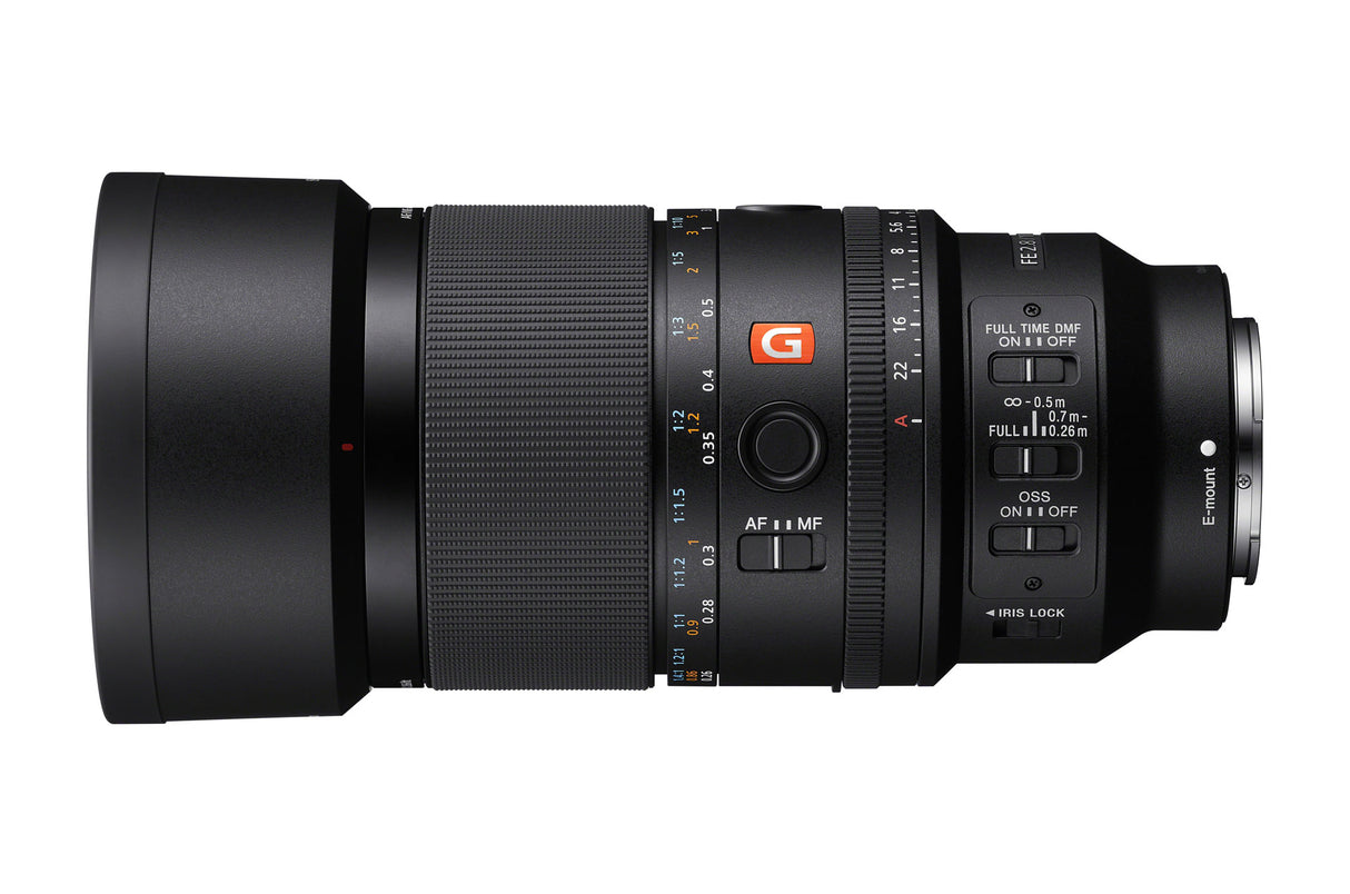 Sony FE 100mm f/2.8 Macro GM Lens