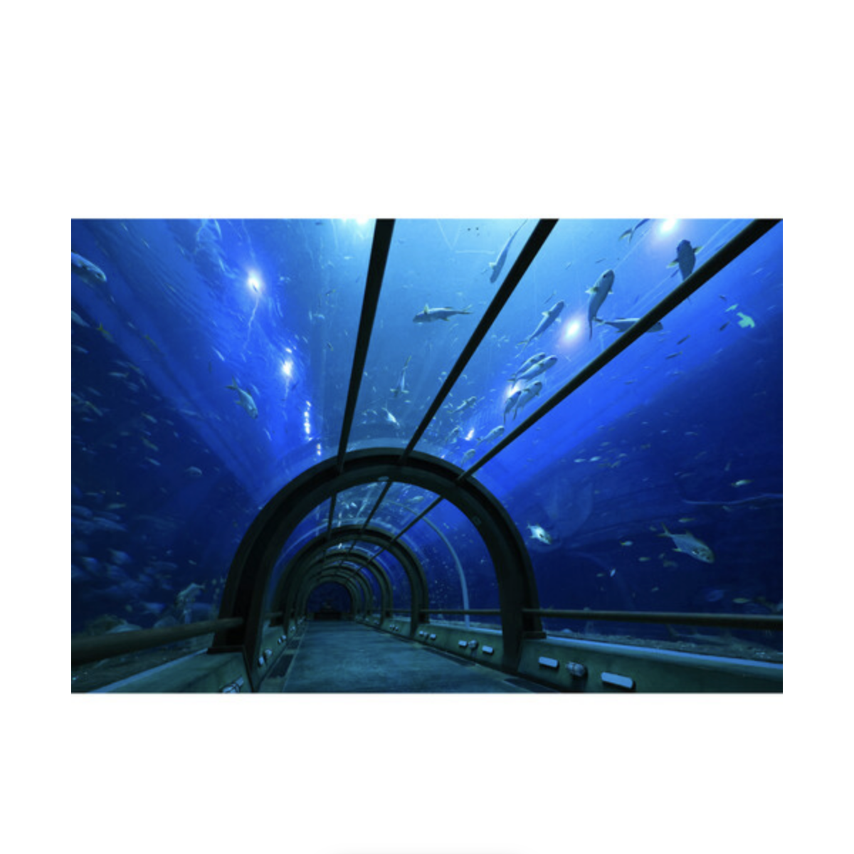 Canon RF-S 10-18mm f/4.5-6.3 IS STM Lens