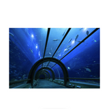 Canon RF-S 10-18mm f/4.5-6.3 IS STM Lens