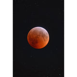 Vixen SD81S FPL-53 ED Refractor Telescope