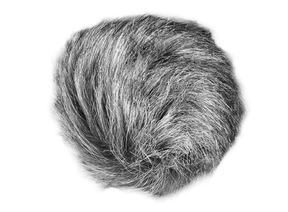 Zoom Universal Windscreen