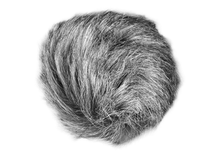 Zoom Universal Windscreen