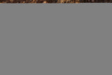 Western Landscape Neck Lanyard