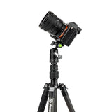 X-Go Carbon E 2