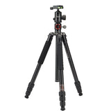 X-Go HR Chameleon