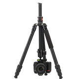 X-Go HR Chameleon
