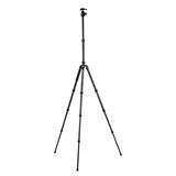 X-Go Plus E 2