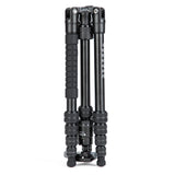 X-Go Gecko E 2