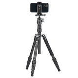 X-Go Gecko E 2