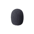 Sony AD-R66B Urethane Windscreen for ECM-66