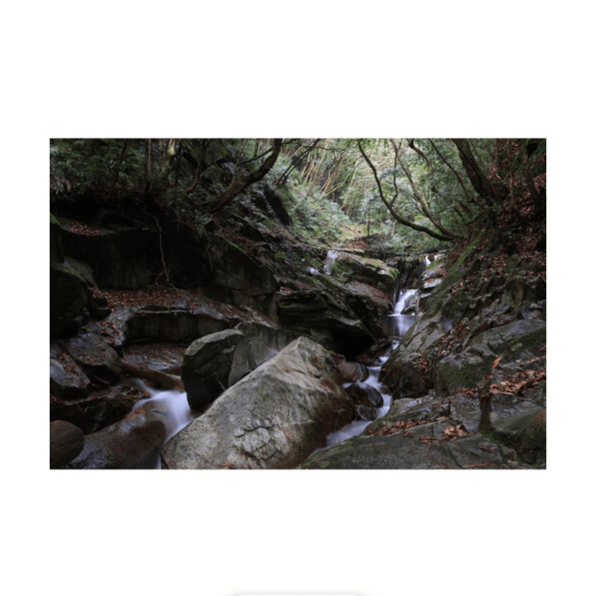 Canon RF-S 18-150mm f/3.5-6.3 IS STM Lens