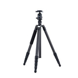 X-75C