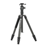 X-Go Plus E 2