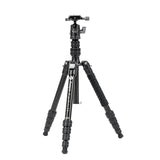 X-Go Gecko E 2