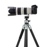 MP-6