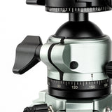 MP-6