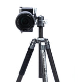 X-Aircross 3
