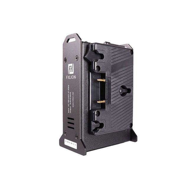 Fxlion FX-M2A Mini 2-Channel Gold-Mount Battery Charger