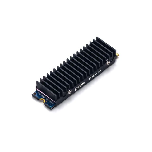 Iodyne 24TB Pro Data Spare SSD Module (2TB)