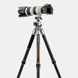 T1 Plus Basic