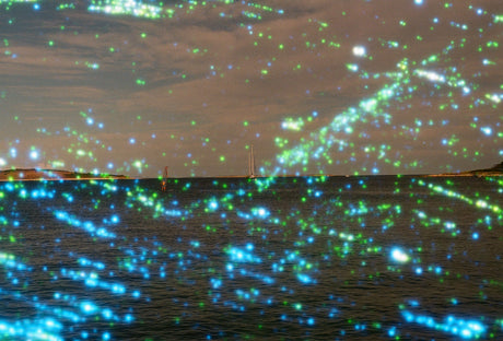 Revolog Nebula 400 sample photo 3