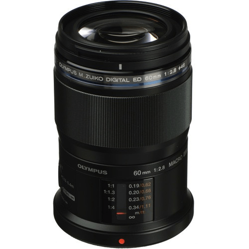 Olympus M.Zuiko Digital ED 60mm f/2.8 Macro Lens – IMPULSE