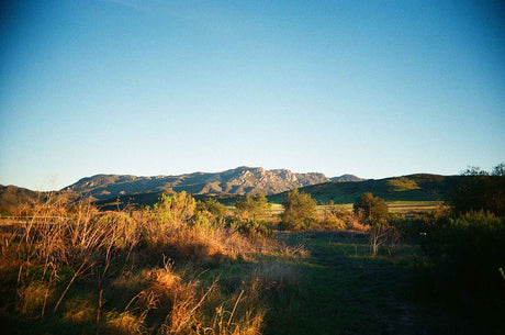 Kodak Ultra Max 400 sample photo 3